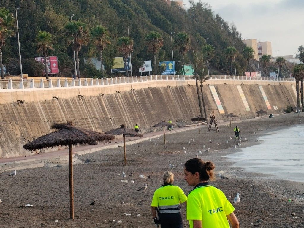 La Ciudad realiza trabajos de mantenimiento en las zonas de playa